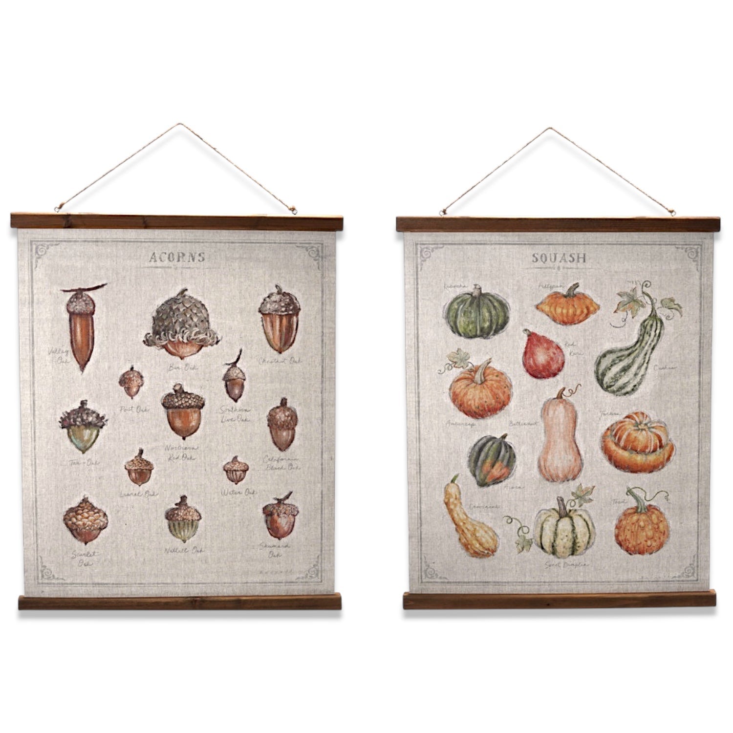 Squash and Acorn Botanical Print Wall Hanger