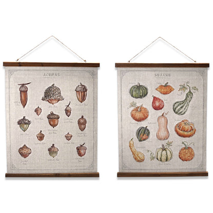 Squash and Acorn Botanical Print Wall Hanger