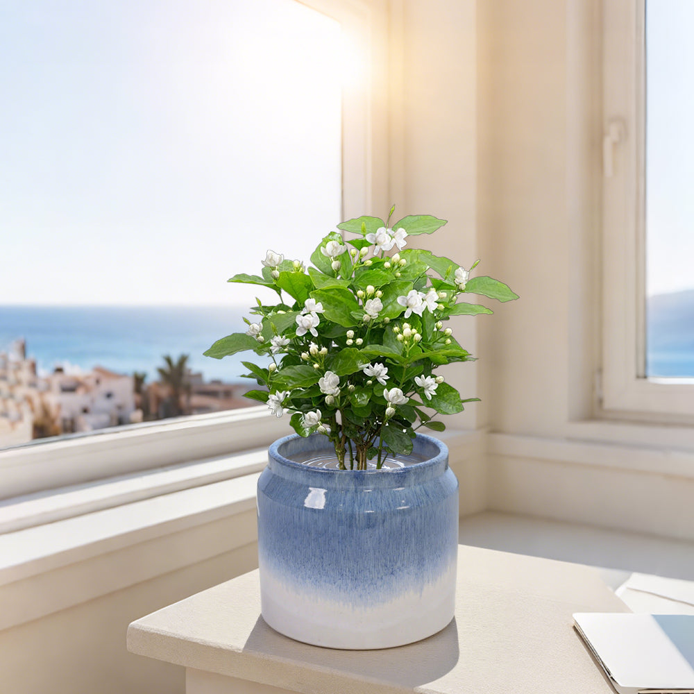 Set of 2 Gradient Ceramic Flowerpots - White/Blue