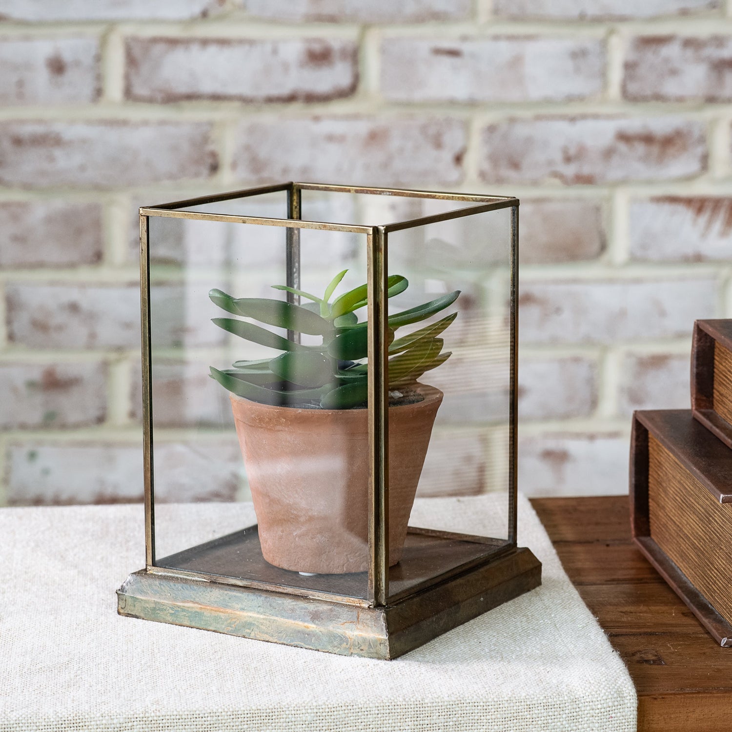 Aged Antique Glass Display Case