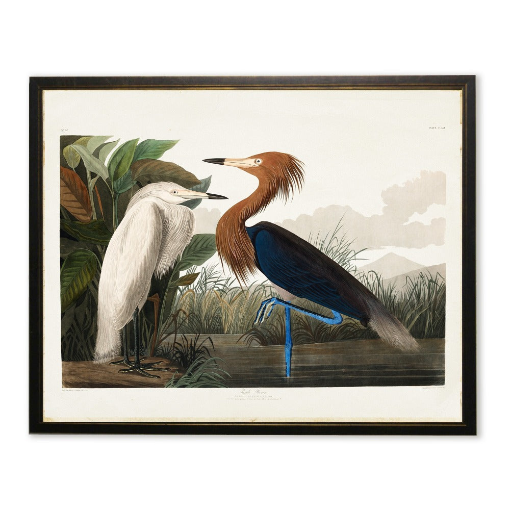 Two Herons in Black and Copper Frame - 24 x 18 inch