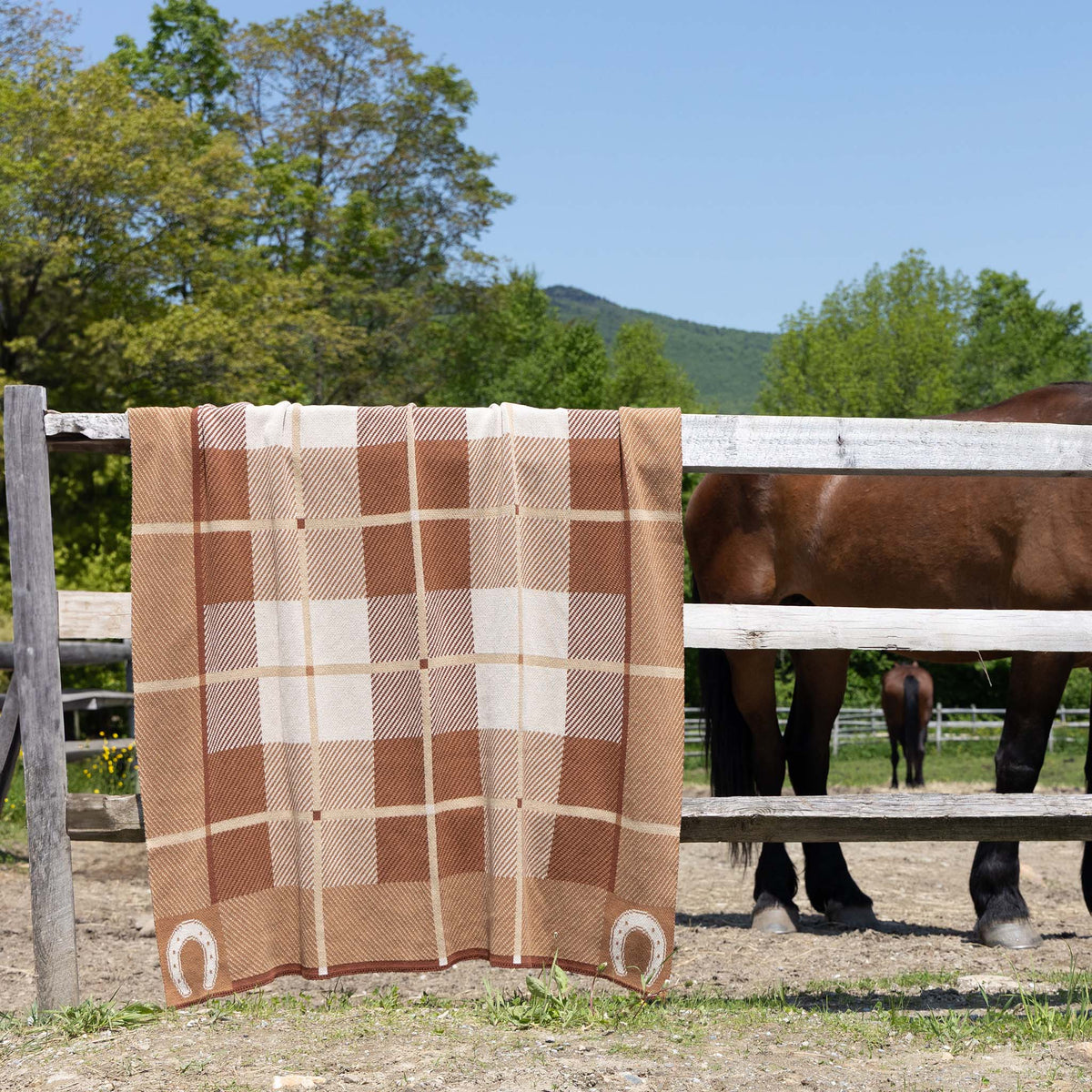 Equestrian Barn Plaid - Cotton Sustainable Knit Stripe Throw Blanket