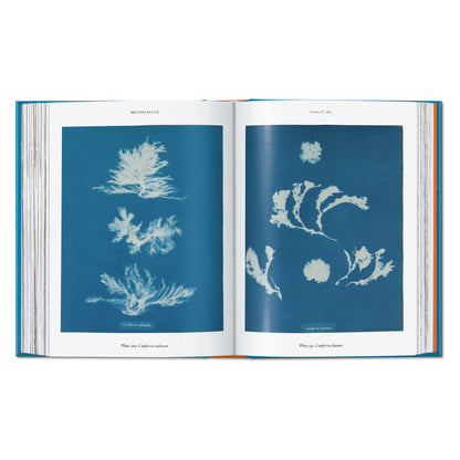 Anna Atkins. Cyanotypes. 45th Ed. (German, French, English)