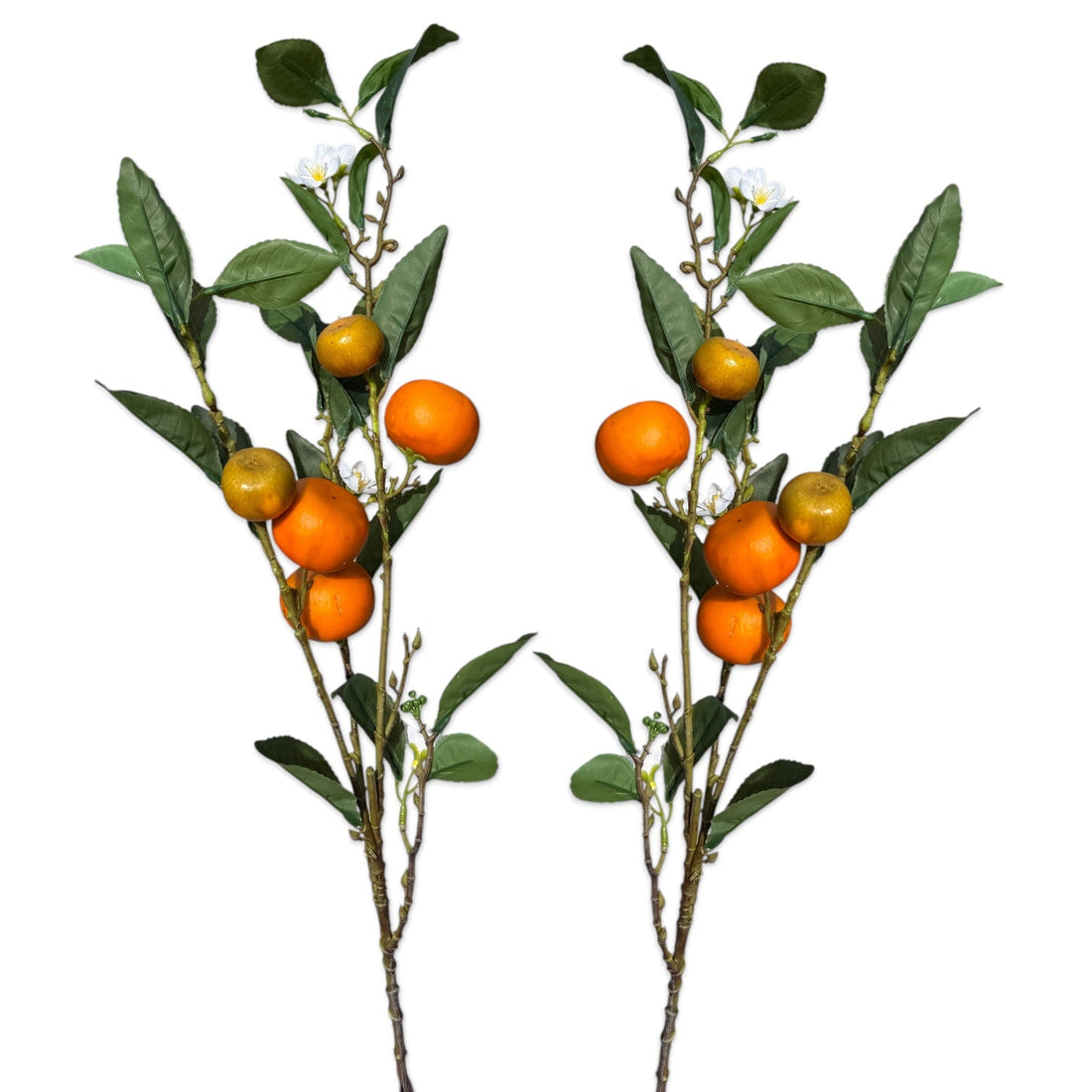 Honey Tangerine Branch Stem
