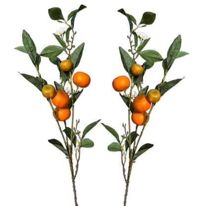 Honey Tangerine Branch Stem