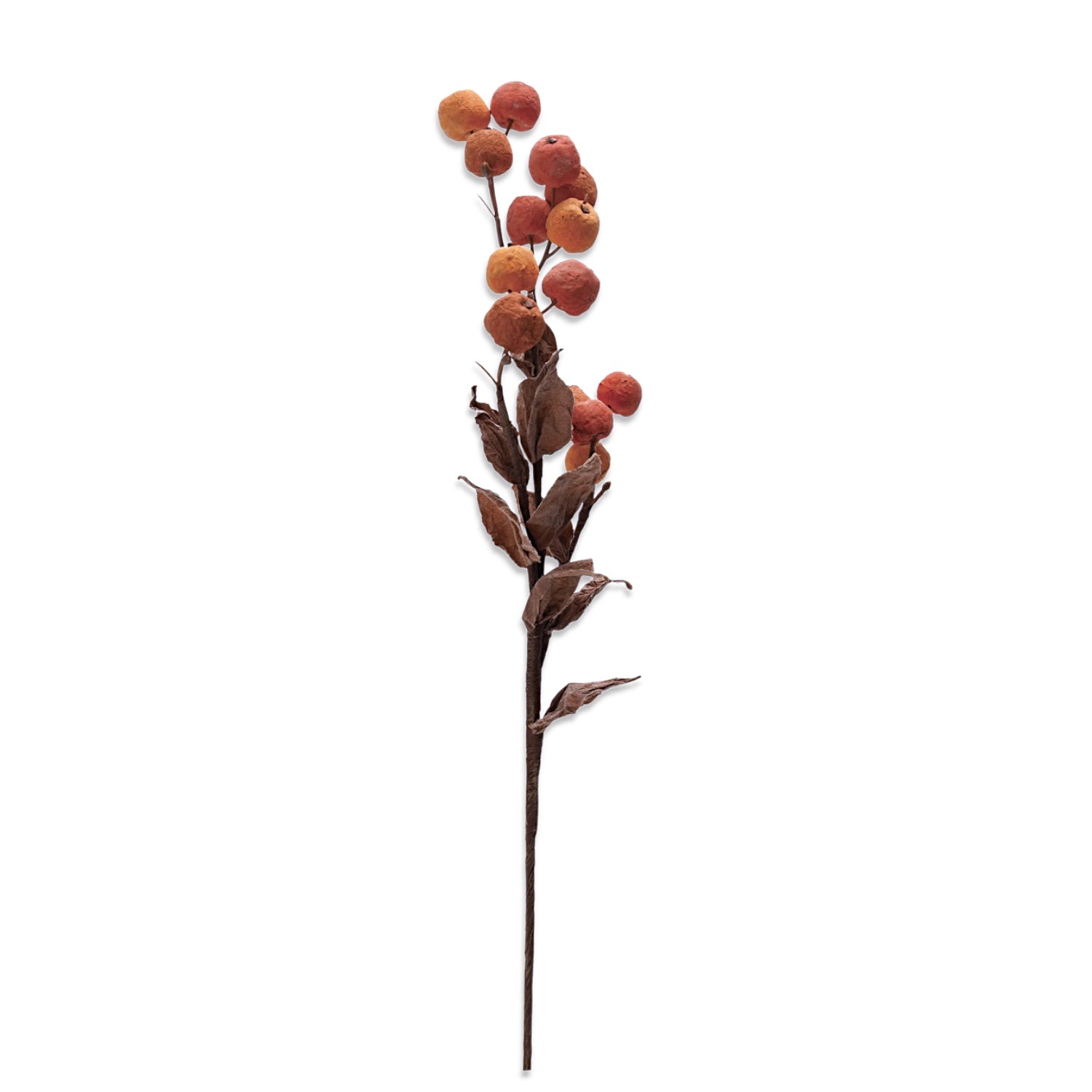 Yellow &amp; Orange Berry Stem
