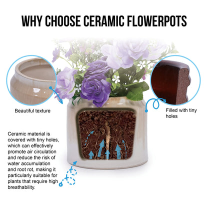 Set of 2 Gradient Ceramic Flowerpots - White/Brown
