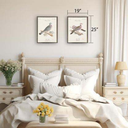 Turtle Doves in Silver-Beaded Frame - 24 x 18 inch