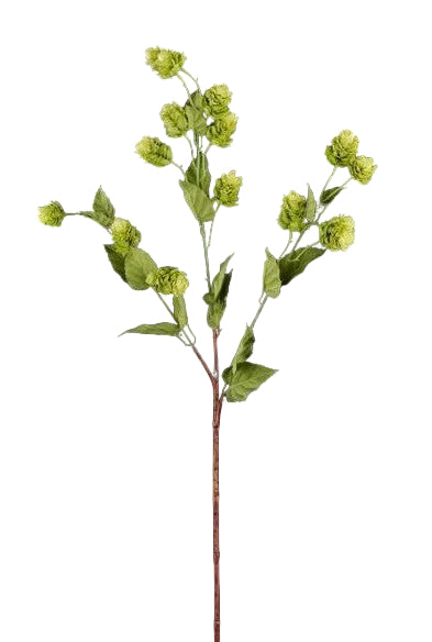 Hops Spray 39" L