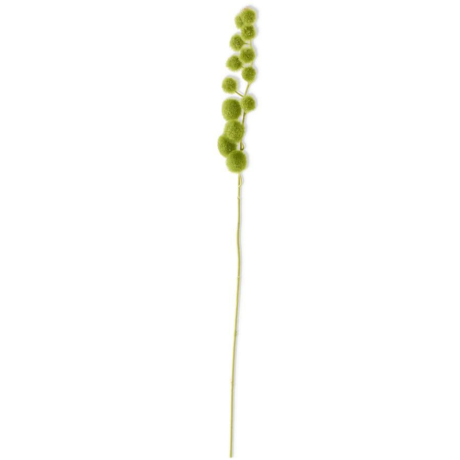 Green &amp; Frosted Billy Ball Spray