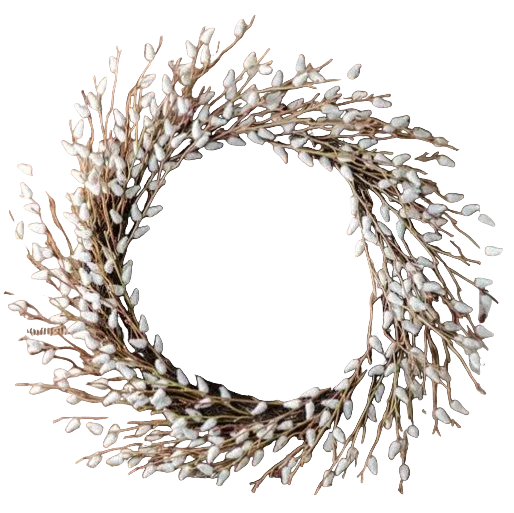 19.5" Pussy Willow Wreath