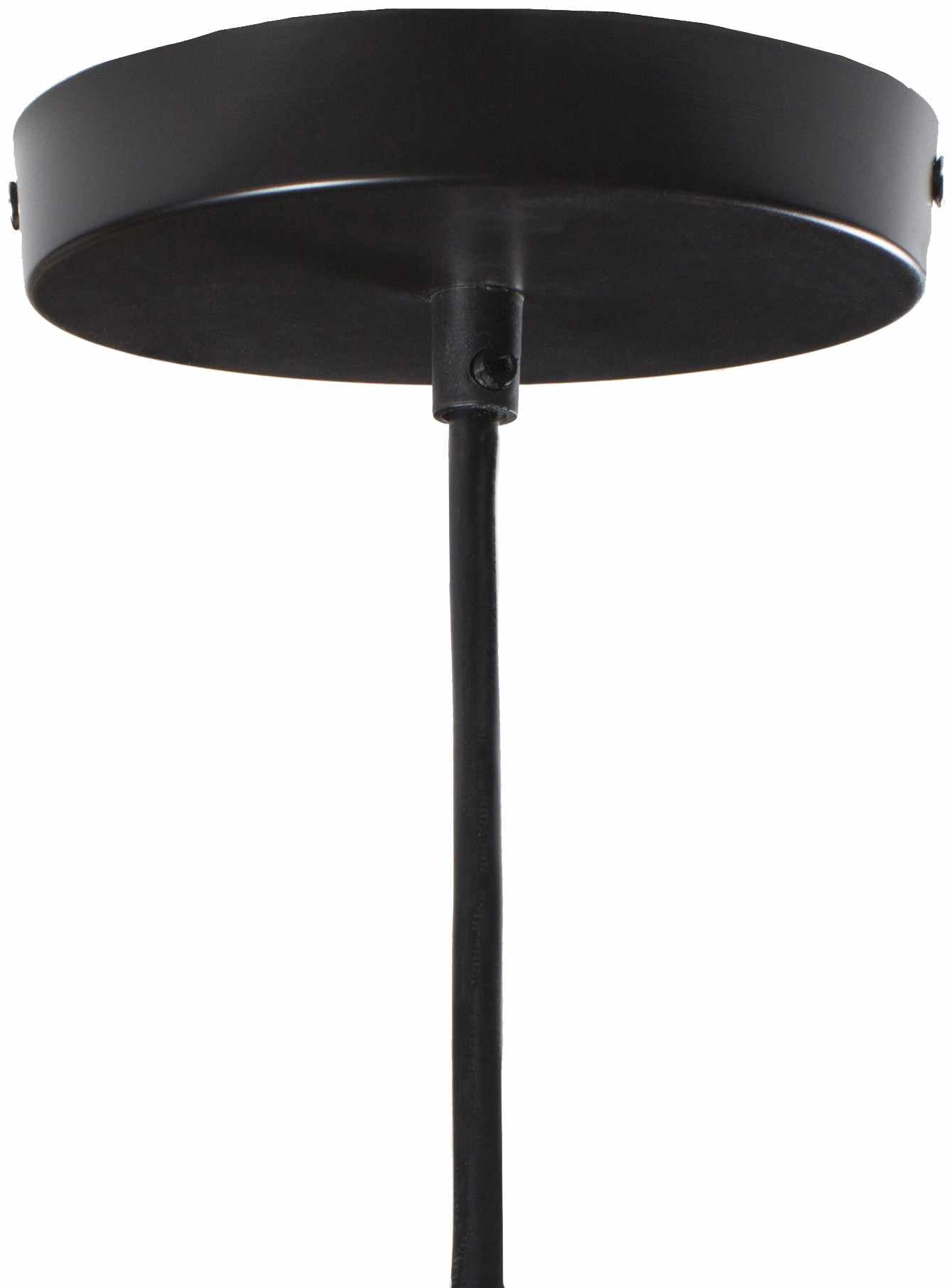 Phlox Pendant Light