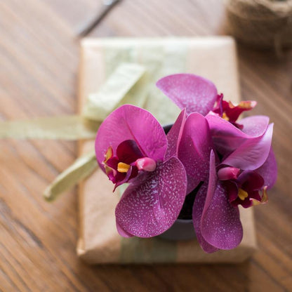Potted Flower Mini - Real Touch Orchid in Purple