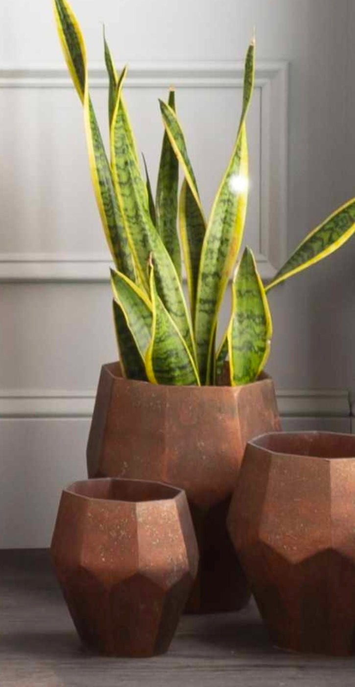 Mulauin Glass Pots - Set of 3