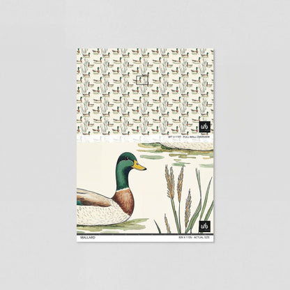 Mallard Wallpaper