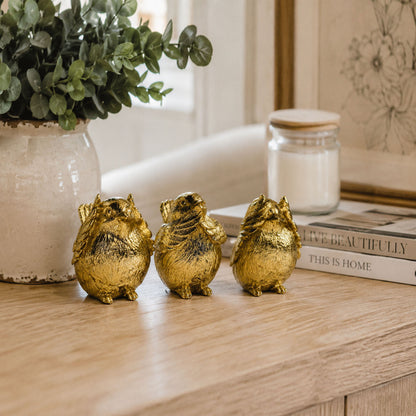 3 Wise Birds
