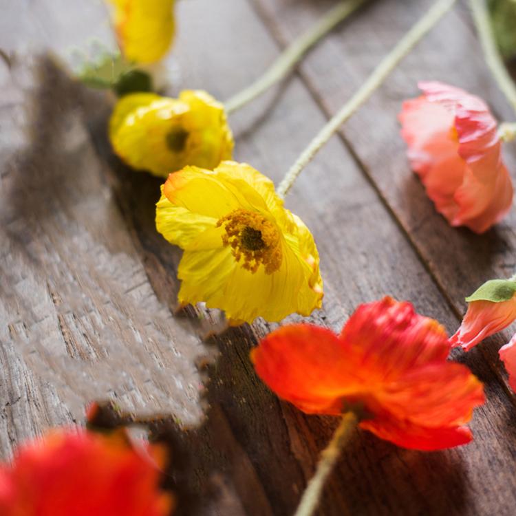 Silk Common Poppy Flower Stem - 22"