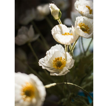 Faux Silk Silk Common Poppy Flower Stem in Pink or White - 22"