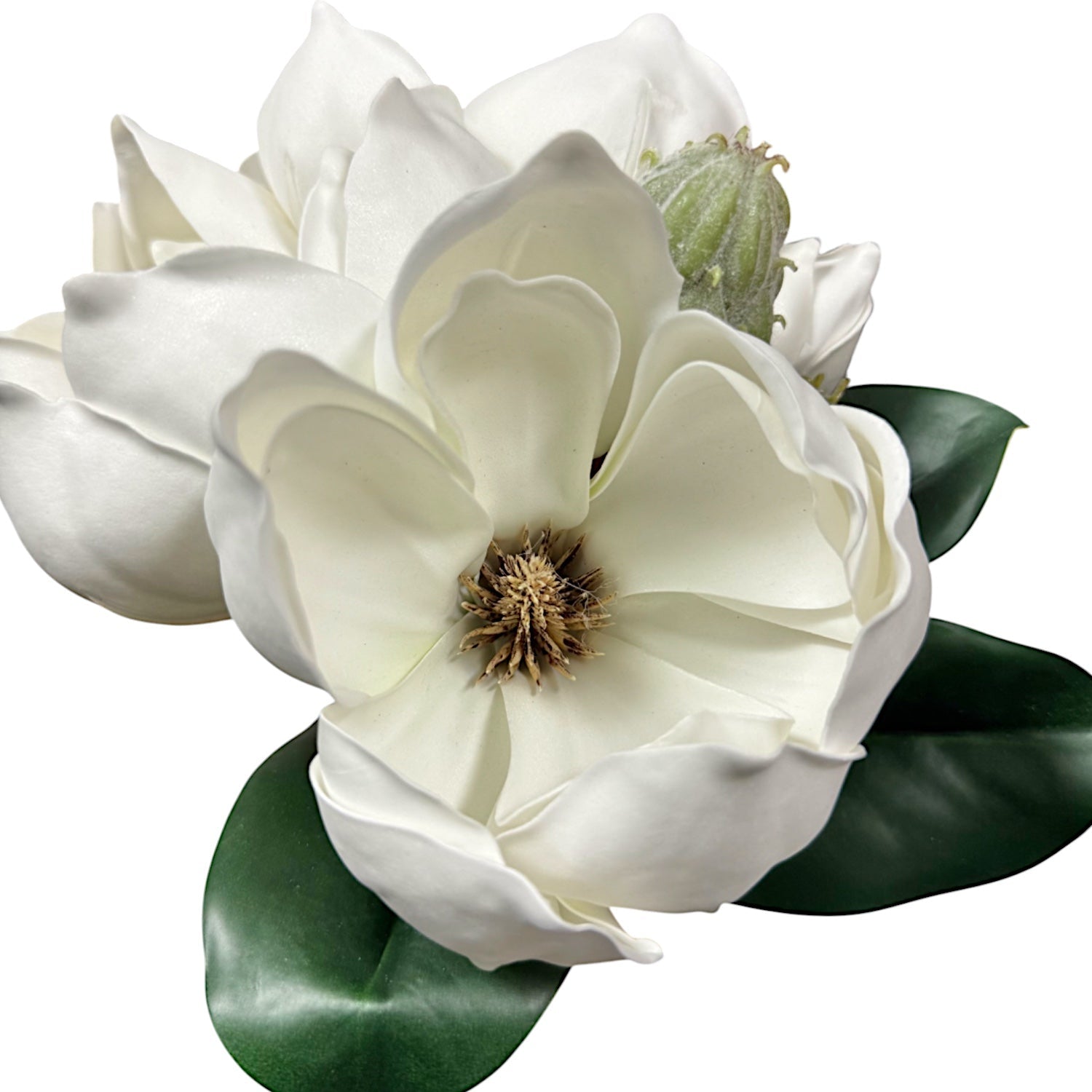 Real Touch Magnolia Stem | 12&