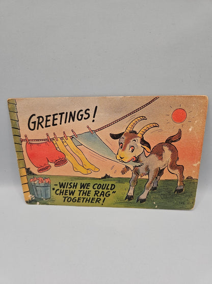 Vintage Postcards – 5.5"x3.5"