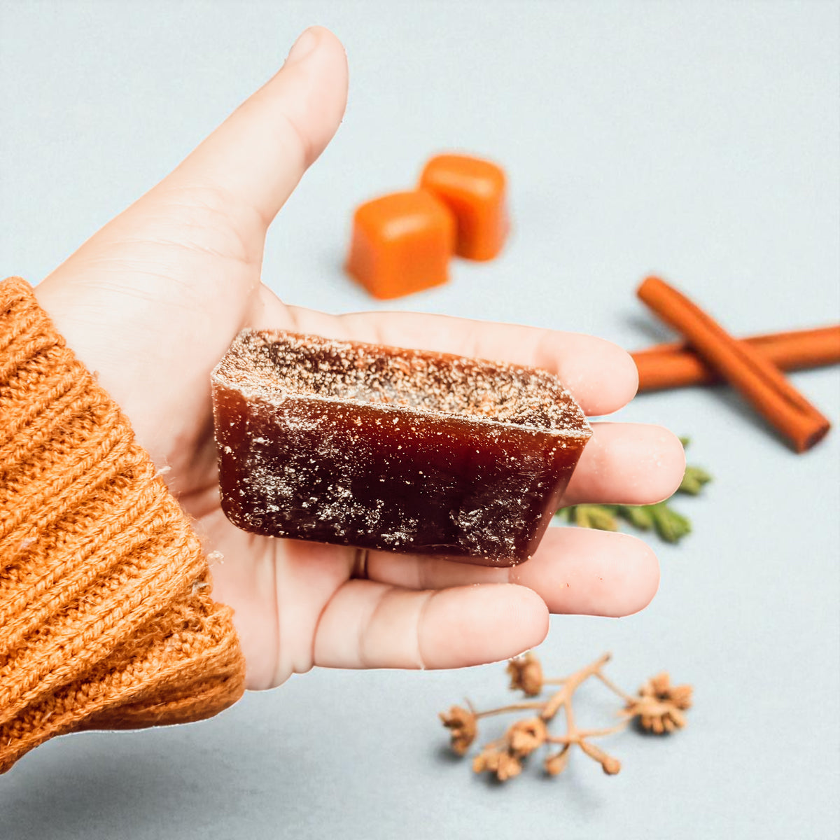 XL Wax Melts - Fall Caramel Latte